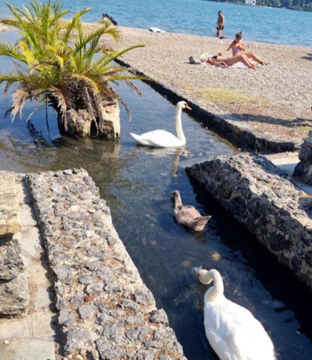 Διαμέρισμα Venetton Garden House Corfu *