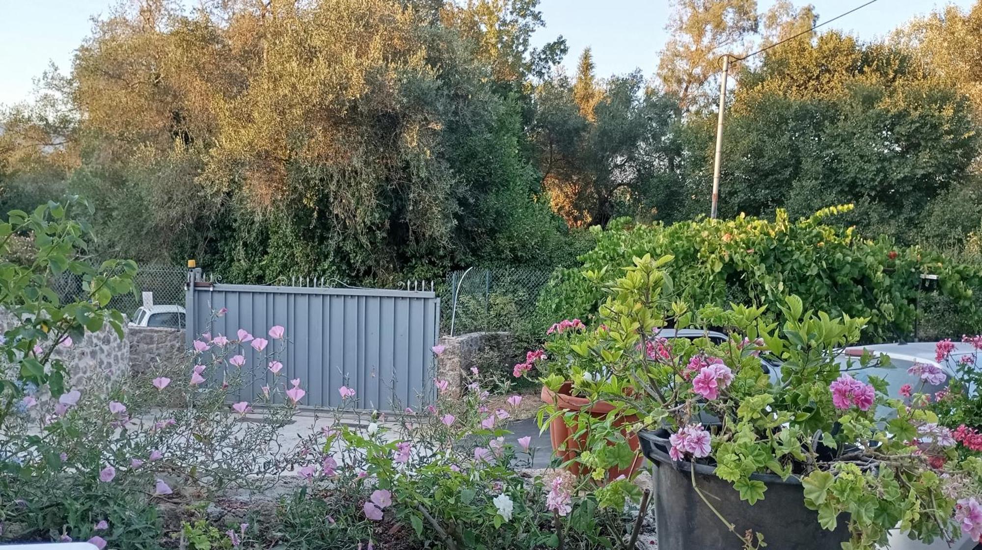 Venetton Garden House Corfu * Γουβιά